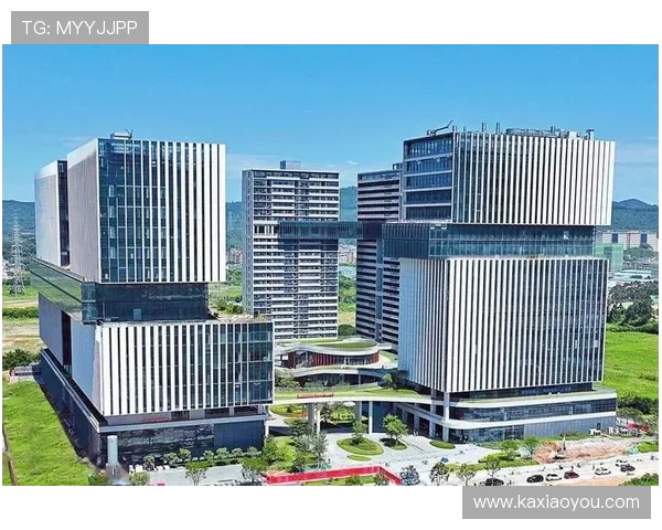 天津先行者引领高质量发展新格局打造科技创新与产业融合典范