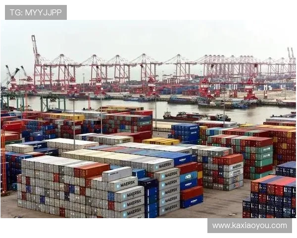 上海海港发展新机遇：引领全球航运枢纽建设与智能港口升级之路