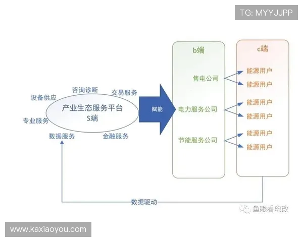 探索电竞职业联赛生态体系与产业发展未来趋势分析研究