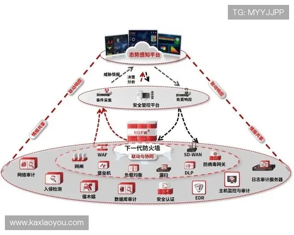 上海排球队防守体系解析与战术运用探讨