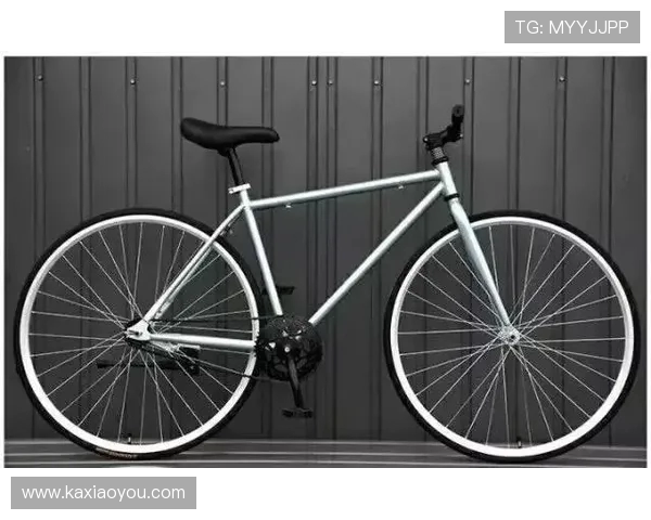 广州滑板队实力分析与表现评估:从数据看团队竞技水平与发展潜力 广州滑板队实力分析与表现评估:从数据看团队竞技水平与发展潜力