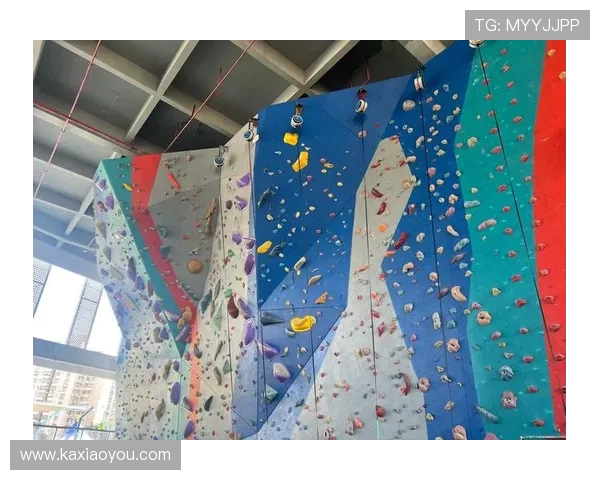 杭州攀岩队崭露头角最新攀岩个人能力排行榜前十名揭晓