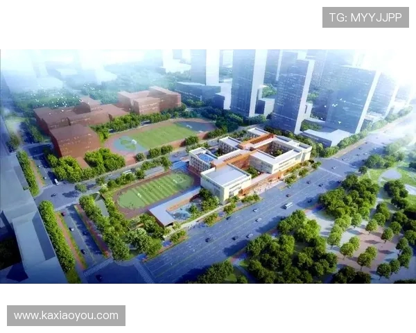 探索当代篮球运动员成长之路与竞技精神全景观察与未来展望趋势探讨